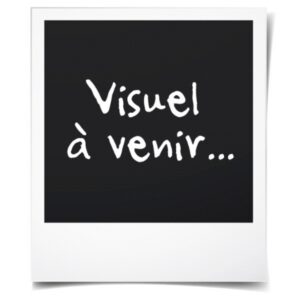 Visuel à venir
